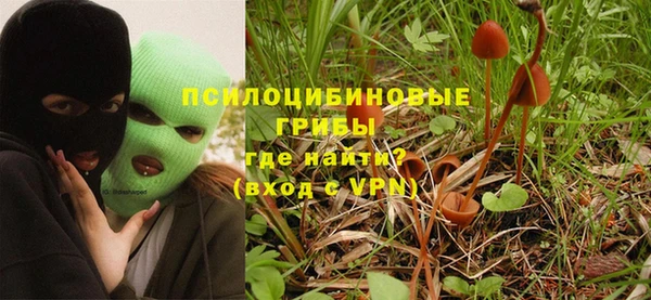 прущие крисы Балахна
